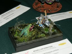 dsc07698